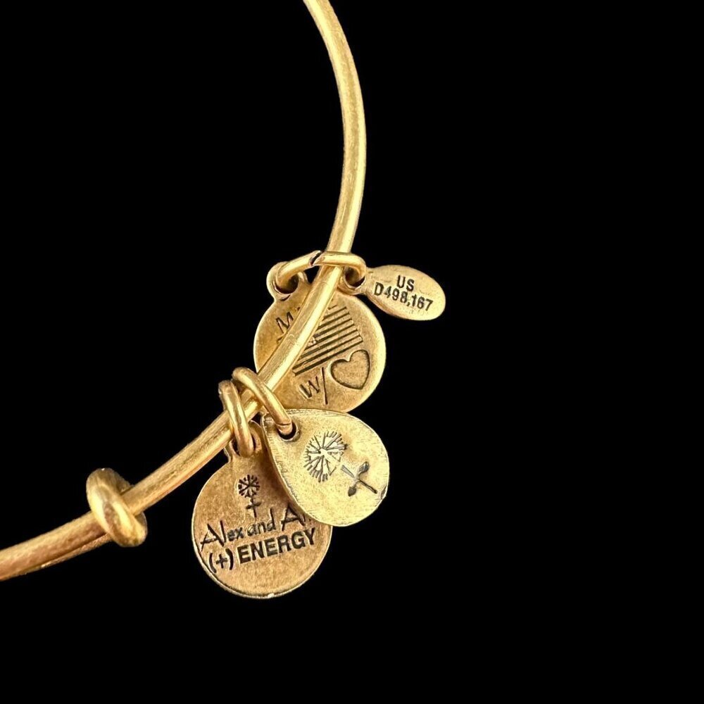 ALEX ANI Charm Bangle Bracelet Openwork Compass Rose Gold Tone Expandable Wire - Picture 7 of 12